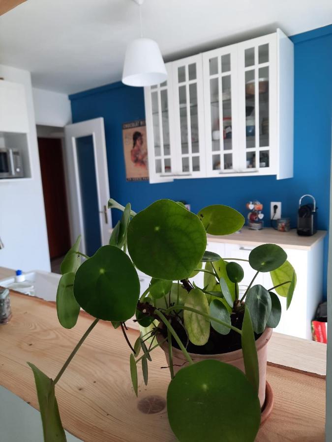 Appart Proche Plage Avec Grand Balcon Cannes Luaran gambar